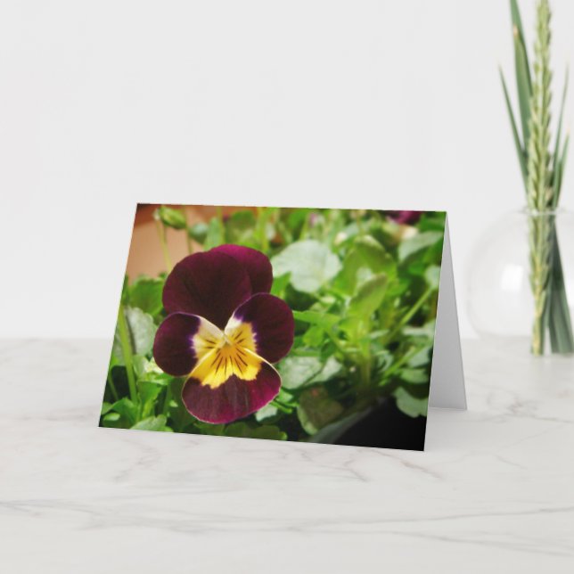 Pensée Kort (Framsida)