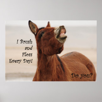 Penselera och spola av näsan varje dag poster