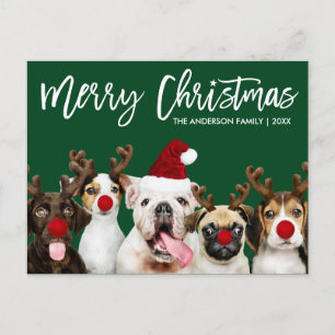 Penselskriptstjärnans God jul Hundar Grönt Vykort