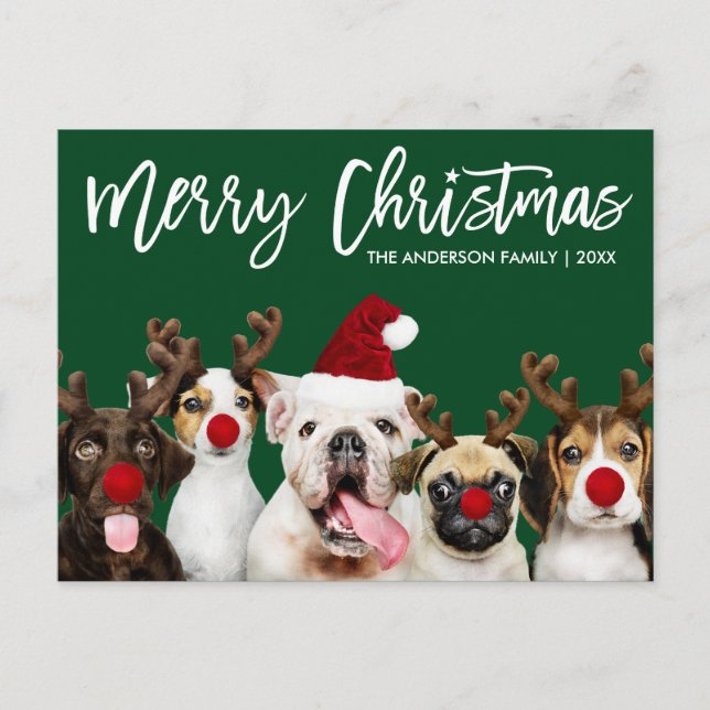 Penselskriptstjärnans God jul Hundar Grönt Vykort (Framsida)