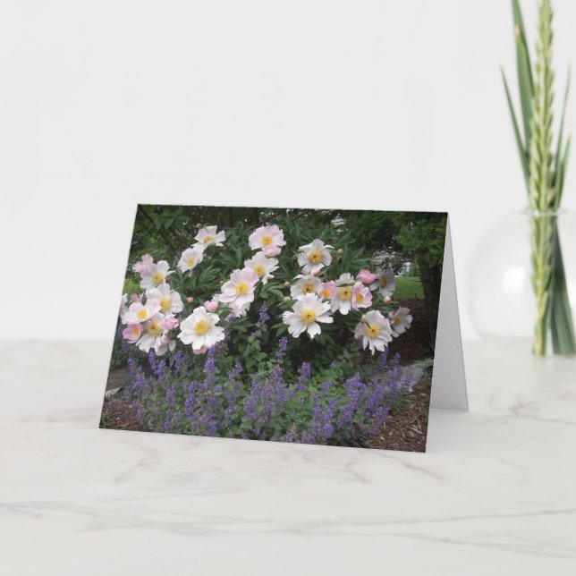 Pension - Dags att lukta blommorna Kort (Framsida)