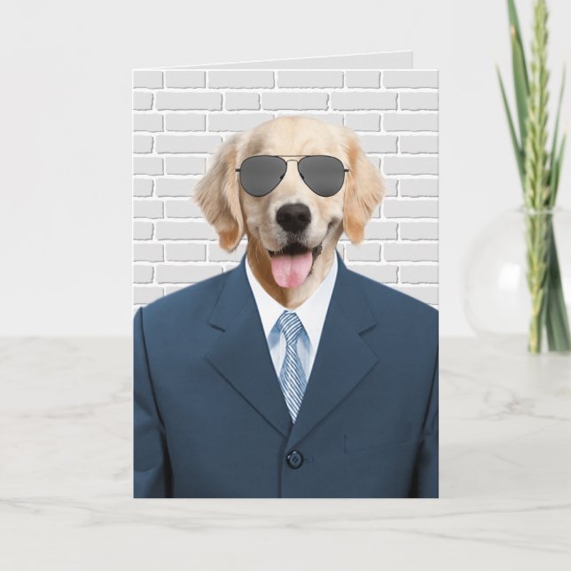 Pension Golden Retriever i Kostym Kort (Framsida)