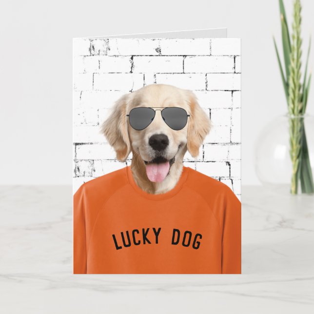 Pension Golden Retriever Kort (Framsida)