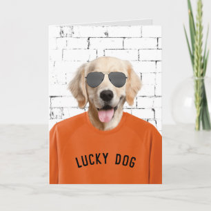 Pension Golden Retriever Kort