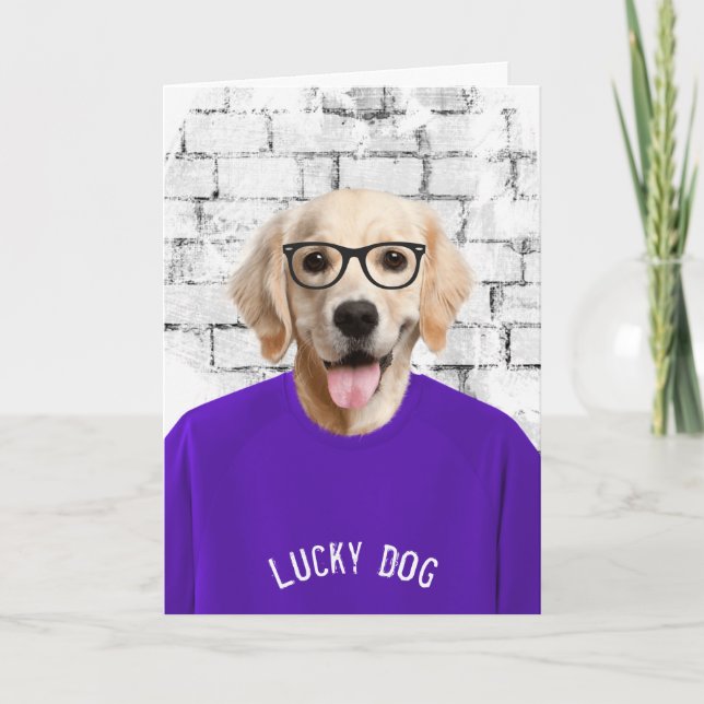 Pension Golden Retriever med Lila Shirt Kort (Framsida)