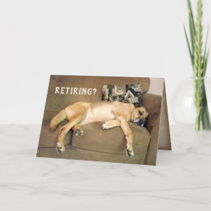 Pension Hound Hund on soffch Kort