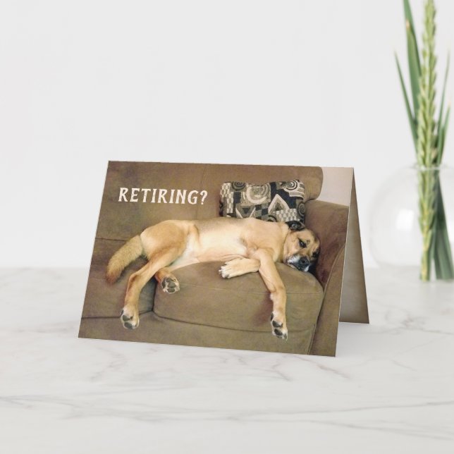 Pension Hound Hund on soffch Kort (Framsida)