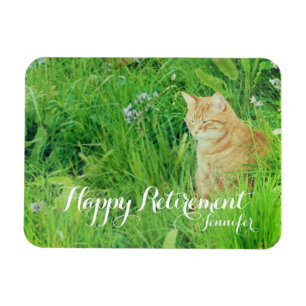 Pension-inälvkatt i en ängsfågel magnet