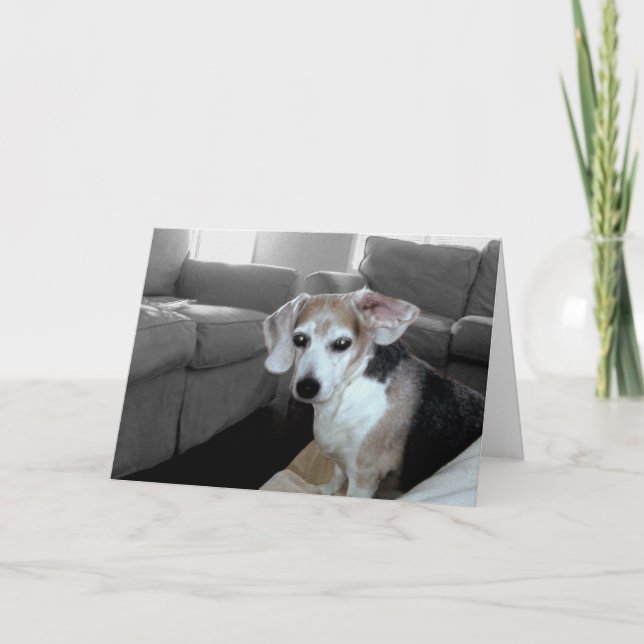 PENSION STEN-KORT KORT (Framsida)