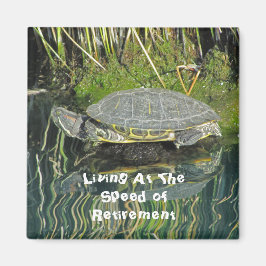 Pension Turtle Photo med Reflection Natature Magnet