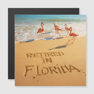 Pensionerad i Florida Flamingos på tropisk strand