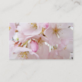 Pensionerad lycklig visitkortblommarpension