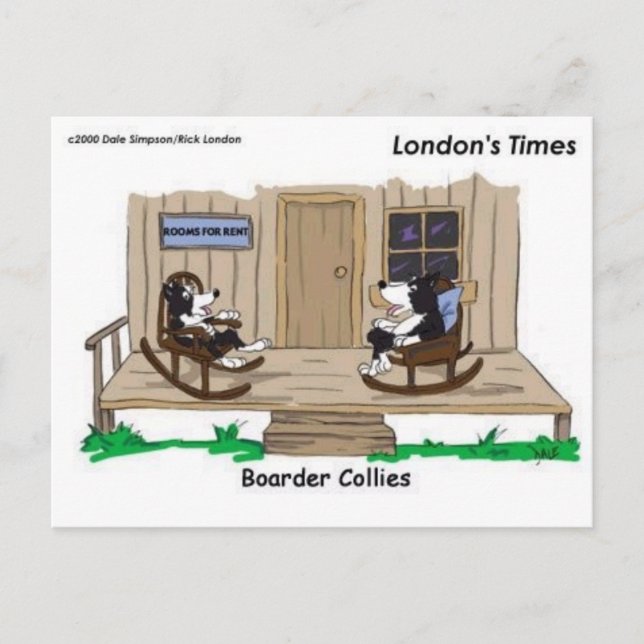 Pensionerade Border Collies Roliga Originella Teck Vykort (Framsida)