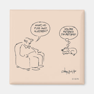 Pensionerat Magnet