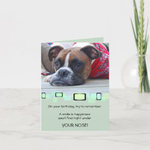 Pensive Brindle Boxer Kort