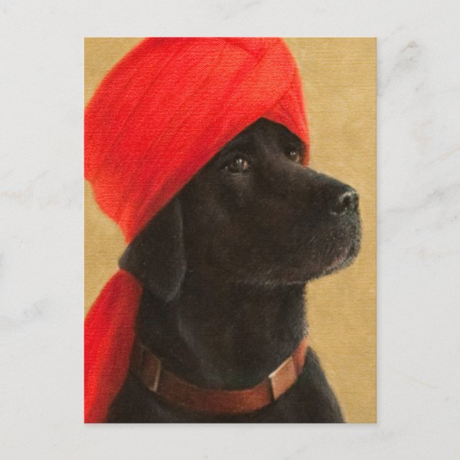 Pensive Maharaja 2010 Vykort (Framsida)