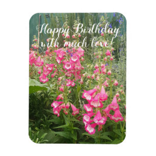 Penstemon Blomsterträdgård blommigt Grattis på föd Magnet