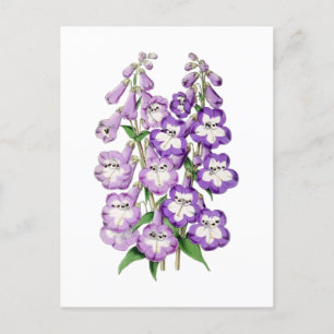 Penstemon Vintage Botaniskt vykort