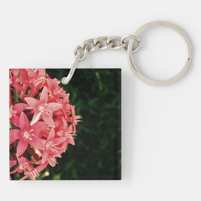 Pentas (Baksidan)