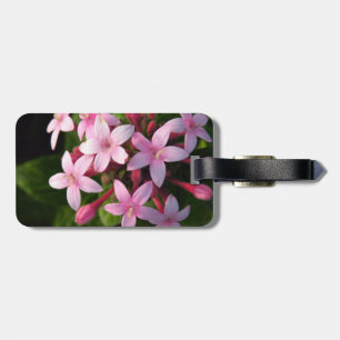 Pentas Bagagebricka