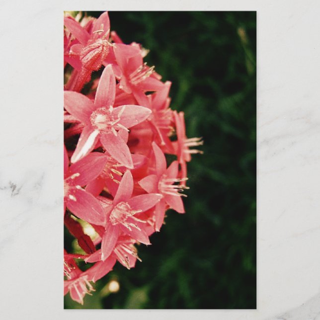 Pentas Brevpapper (Framsida)