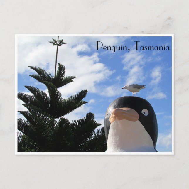 Pentguin och gul vykort (Framsida)