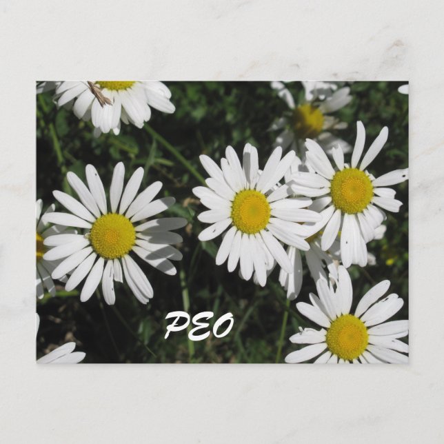 PEO-kort Vykort (Framsida)