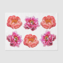 Peonies - Coral & Rosa - Decoupage Tissue Paper