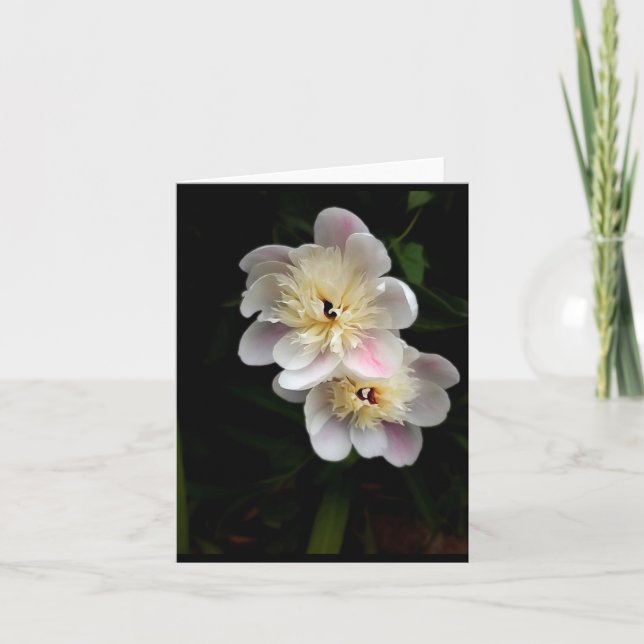Peonies Foled Note Card Anteckningskort (Framsida)