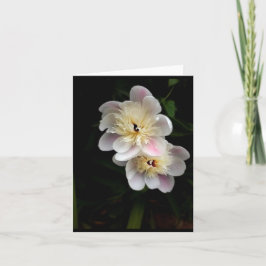 Peonies Foled Note Card Anteckningskort