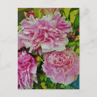 Peonies Fransk Land Stil Vykort