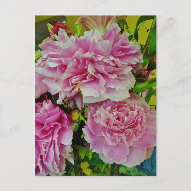 Peonies Fransk Land Stil Vykort (Framsida)