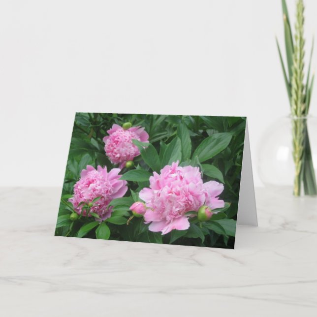 Peonies Kort (Framsida)
