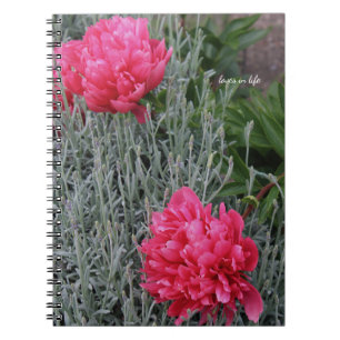 Peonies & Lavender Anteckningsbok