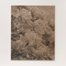 Peonies Många i Sepia