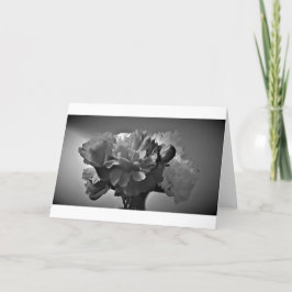 Peonies/Noir, kort