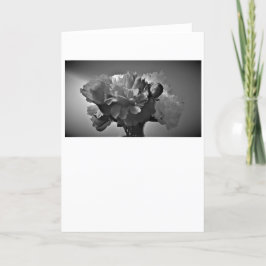 Peonies/Noir, kort