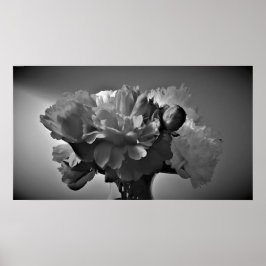 Peonies-Noir Poster