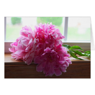 PEONIES OBS KORT