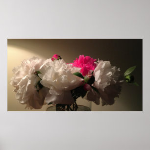 Peonies Poster
