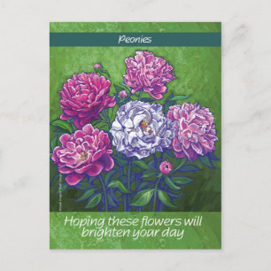 Peonies Vykort