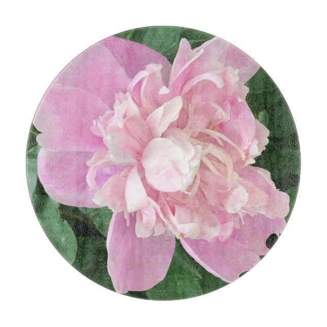 Peony (Framsidan)