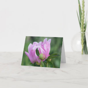 Peony-blankkort Anteckningskort