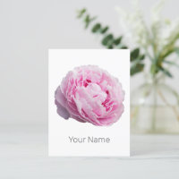 Peony Blommar Ro för blomma och Trädgårds älskare