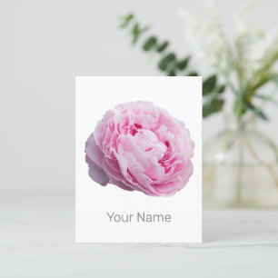 Peony Blommar Ro för blomma och Trädgårds älskare Helg Vykort