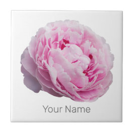 Peony Blommar Ro för blomma och Trädgårds älskare Kakelplatta