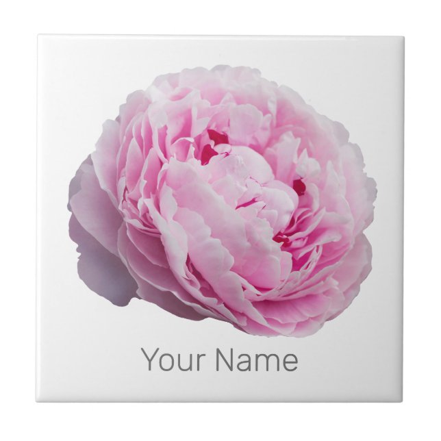 Peony Blommar Ro för blomma och Trädgårds älskare Kakelplatta (Framsidan)