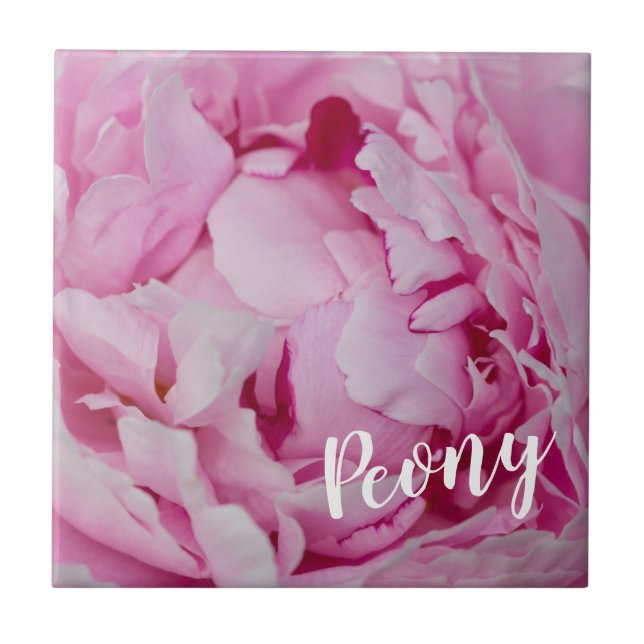Peony Blommar Ro för blommor och trädgårdsälskare Kakelplatta (Framsidan)