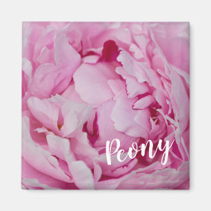 Peony Blommar Ro för blommor och trädgårdsälskare Magnet