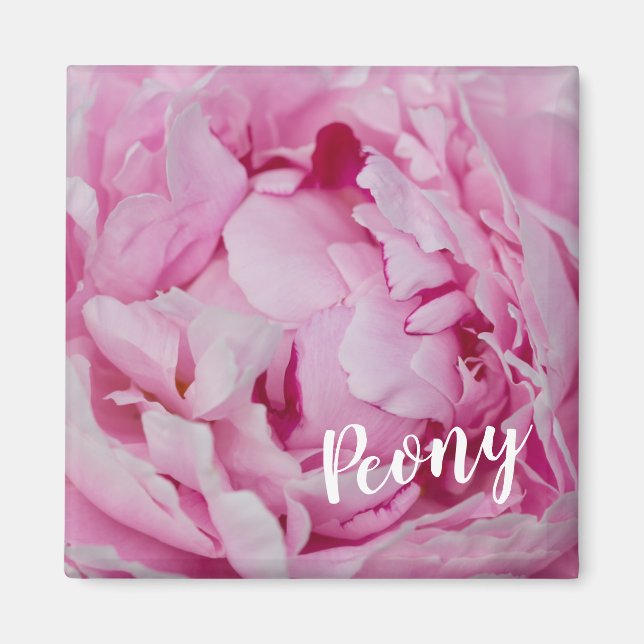 Peony Blommar Ro för blommor och trädgårdsälskare Magnet (Framsidan)